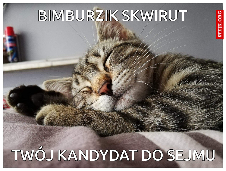BIMBURZIK SKWIRUT