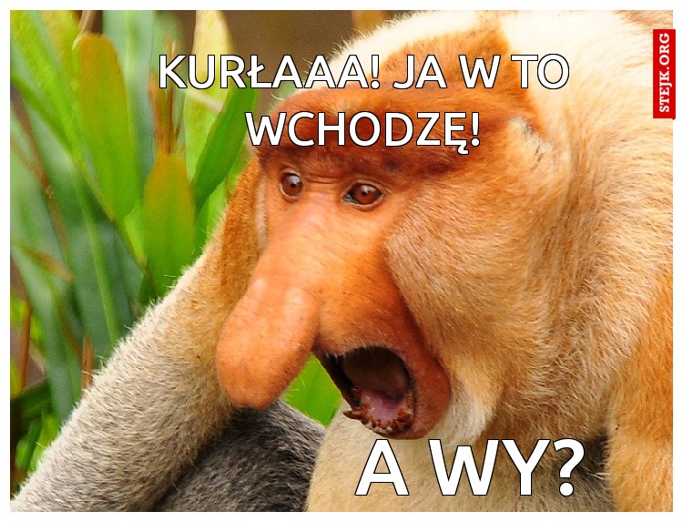 Kurłaaa! Ja w to wchodzę!