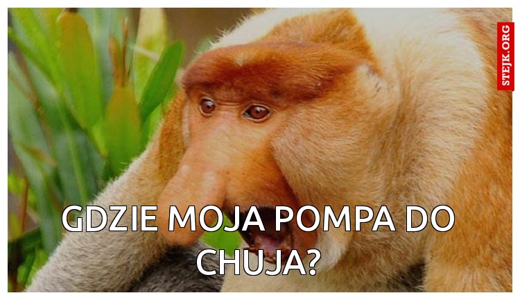 Bieremy te chałpe