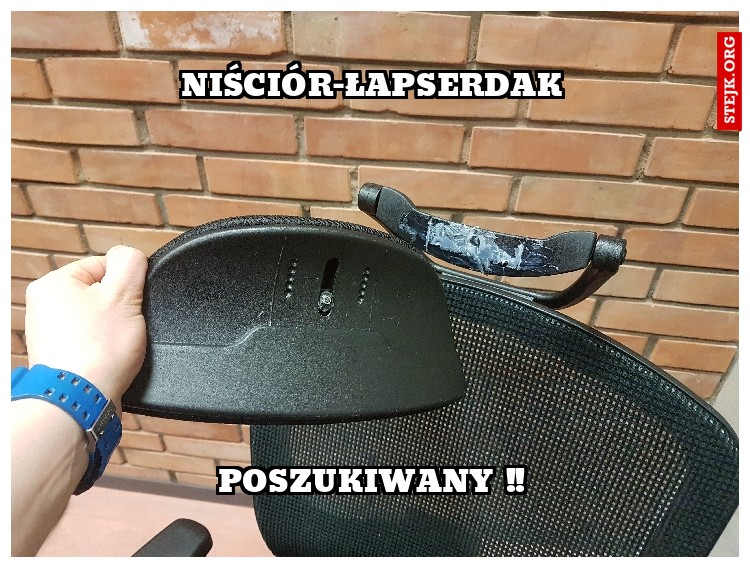 niściór-łapserdak