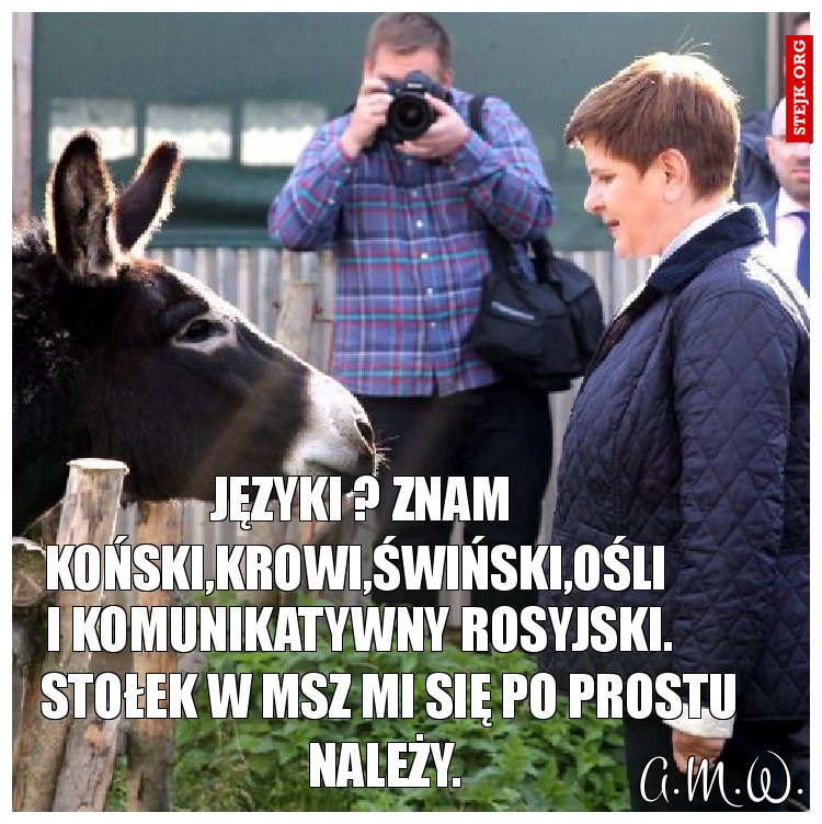 Języki ? Znam koński,krowi,świński,Ośli 