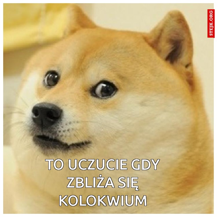 TO UCZUCIE GDY ZBLIŻA SIĘ KOLOKWIUM