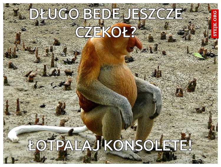 Długo bede jeszcze czekoł?