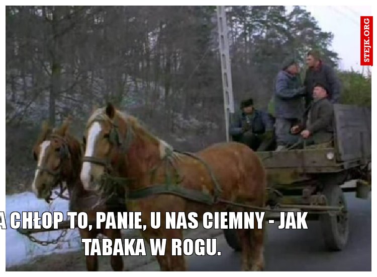a chłop to, panie, u nas ciemny - jak tabaka w rogu.