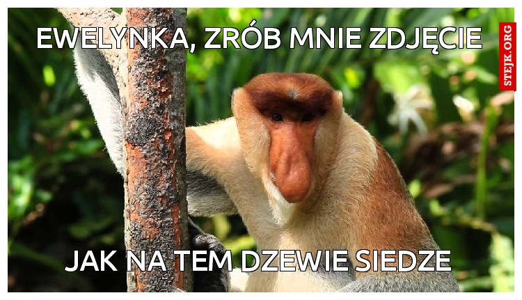 EWELYNKA, ZRÓB MNIE ZDJĘCIE