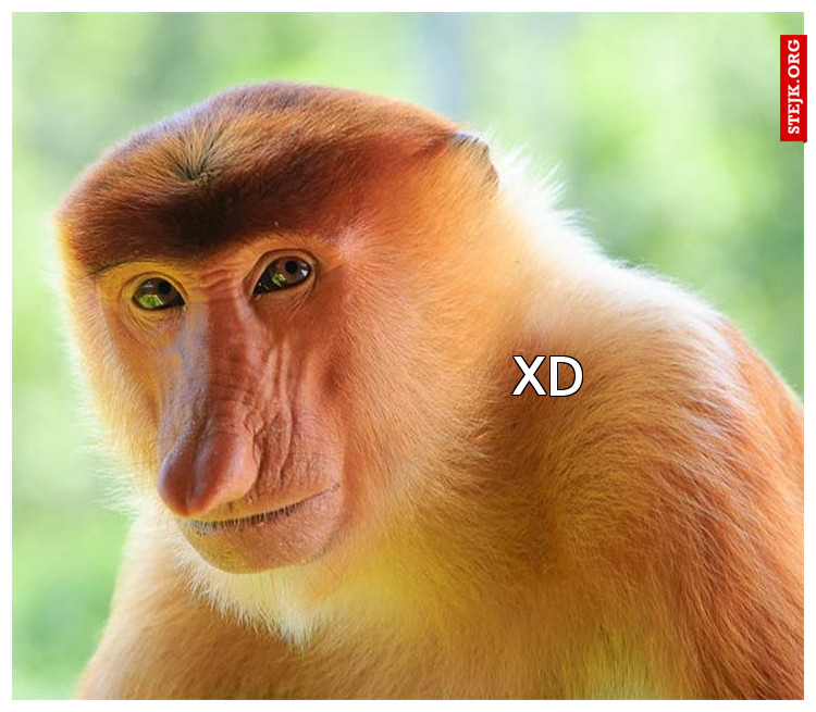 xd