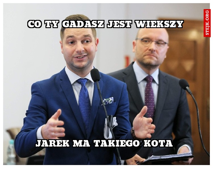 Jarek ma takiego kota 