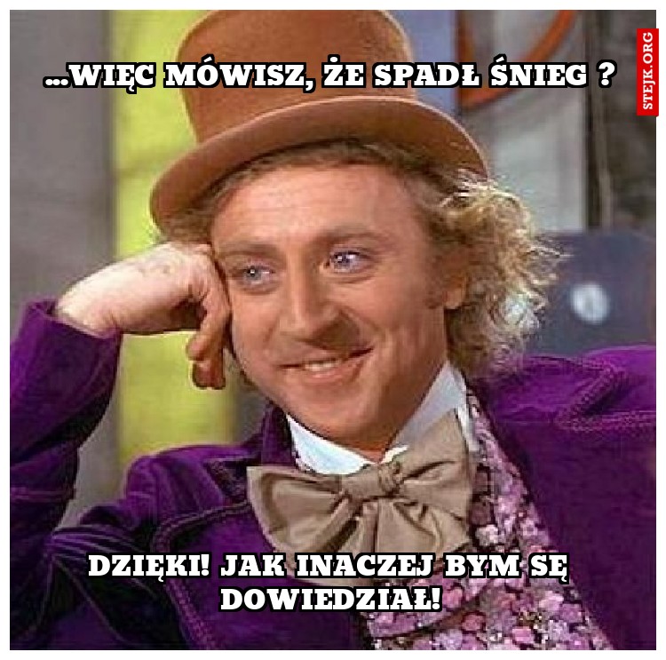 ...więc mówisz, że spadł śnieg ?