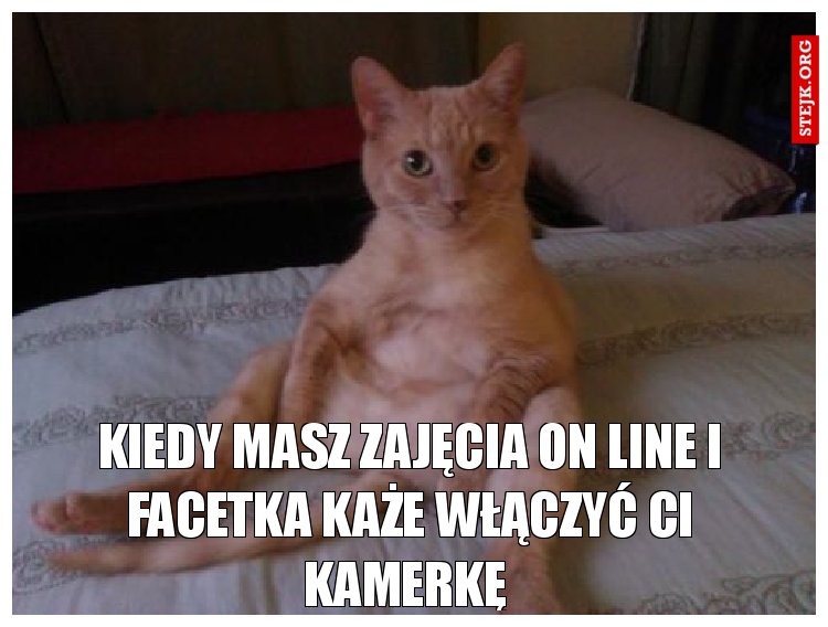 Kiedy masz zajęcia on line i Facetka każe włączyć ci kamerkę 