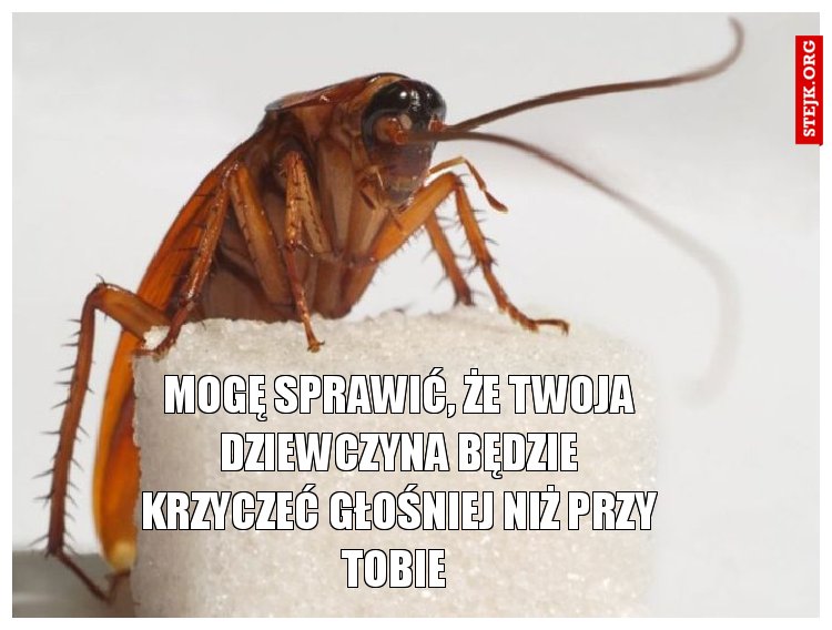 Mogę sprawić, że Twoja dziewczyna będzie krzyczeć głośniej niż przy Tobie 