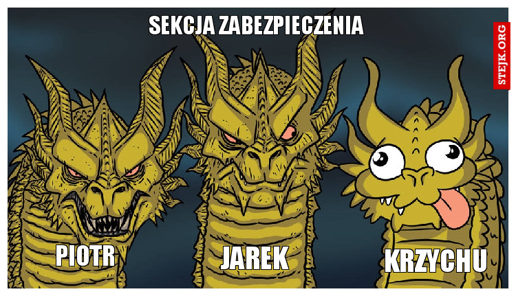 SEKCJA ZABEZPIECZENIA