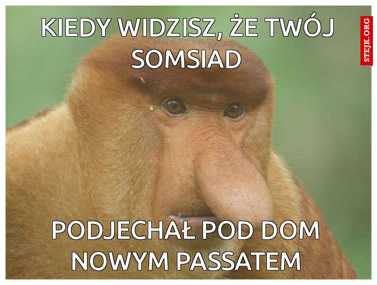kiedy widzisz, że twój somsiad