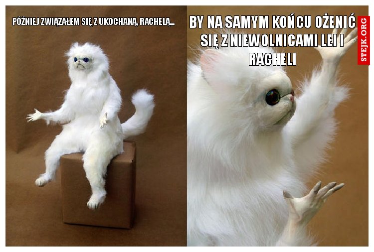 Najpierw ożeniłem się z leą