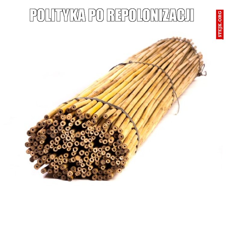 polityka po repolonizacji