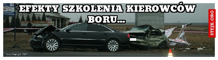 Efekty szkolenia kierowców boru... 