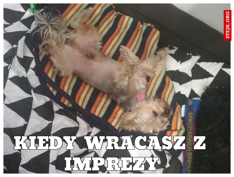kiedy wracasz z imprezy