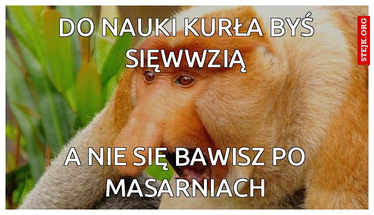 do nauki kurła byś sięwwzią