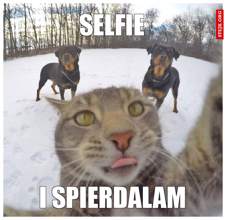 Selfie