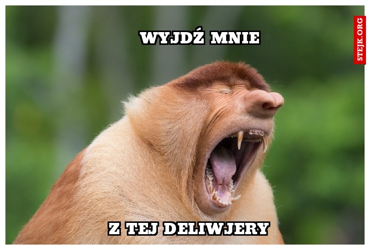 WYJDŹ MNIE Z TEJ DELIWJERY