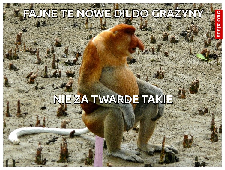 Fajne te nowe dildo grażyny