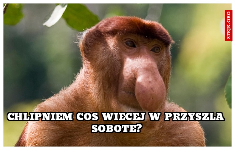 chlipniem cos wiecej w przyszla sobote?
