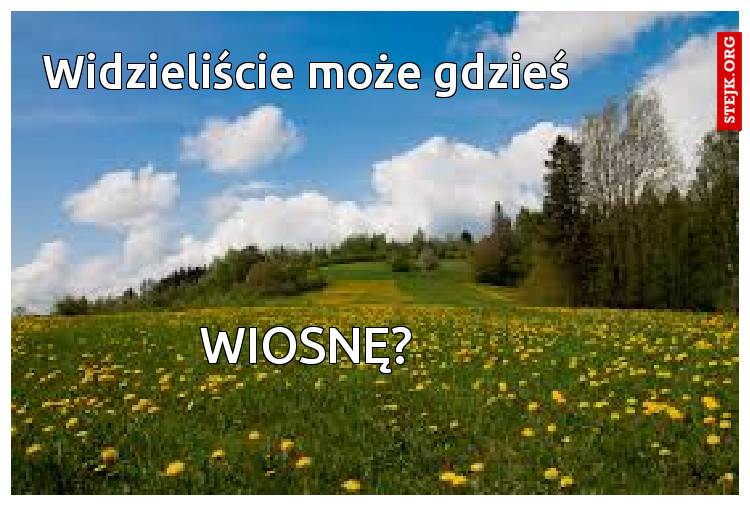 Widzieliście może gdzieś