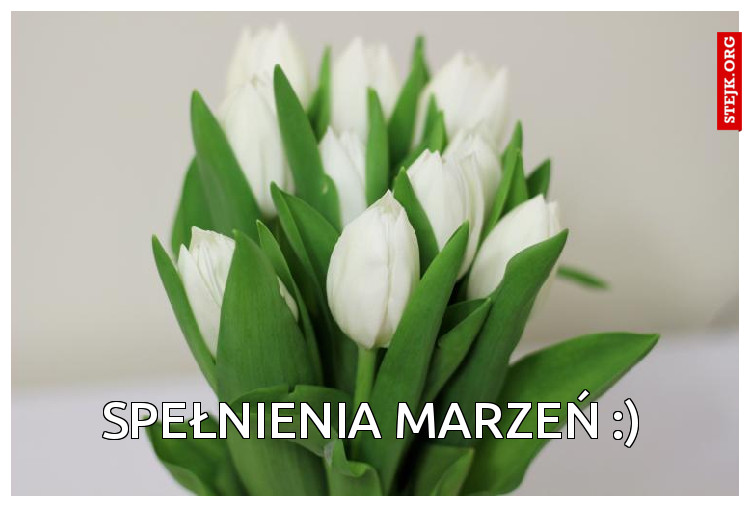 Spełnienia marzeń :)