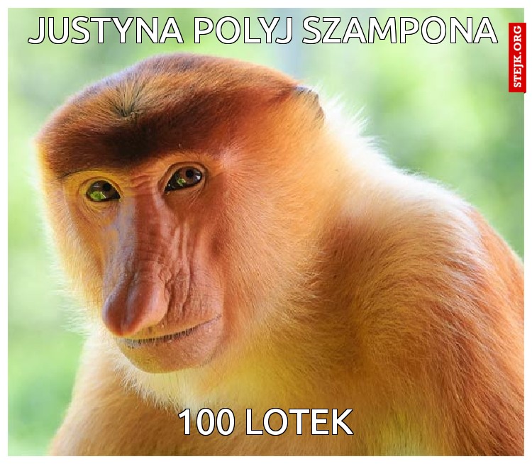 JUSTYNA POLYJ SZAMPONA