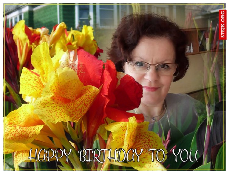 HAPPy  birthday  to  you