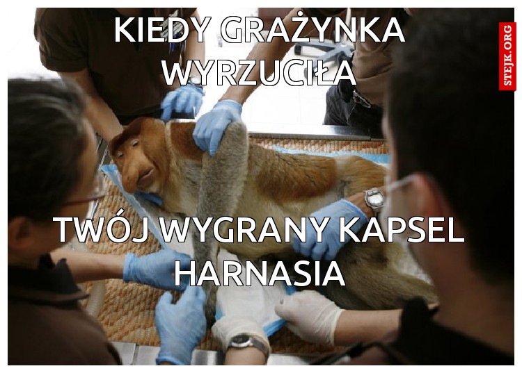 kiedy grażynka wyrzuciła