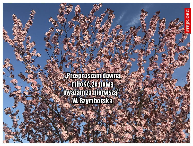 „Przepraszam dawną miłość, że nową uważam za pierwszą”   W. Szymborska