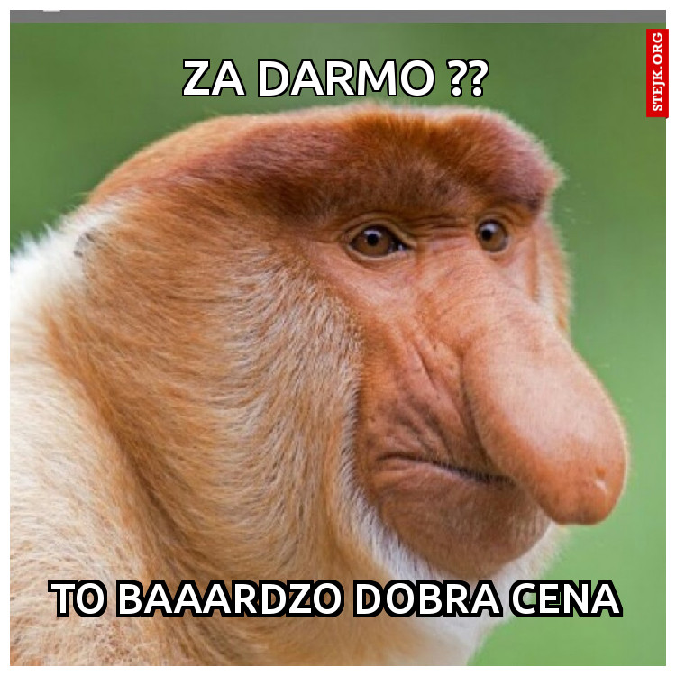 ZA DARMO ??