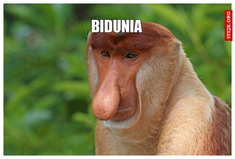 Bidunia