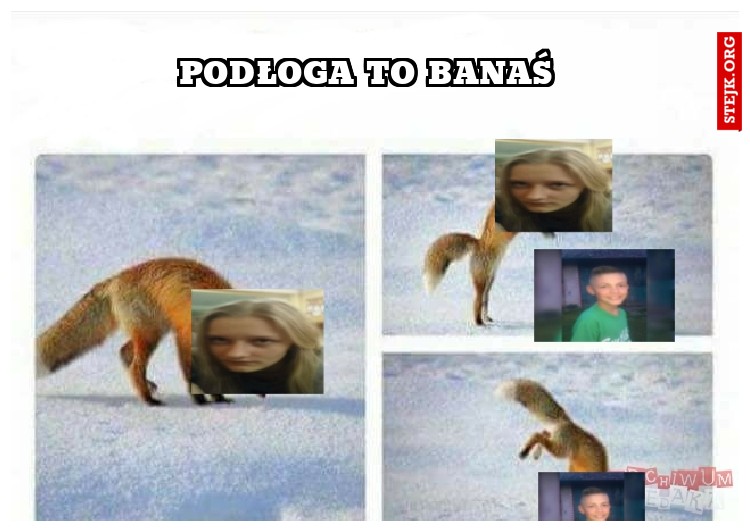 podłoga to banaś 