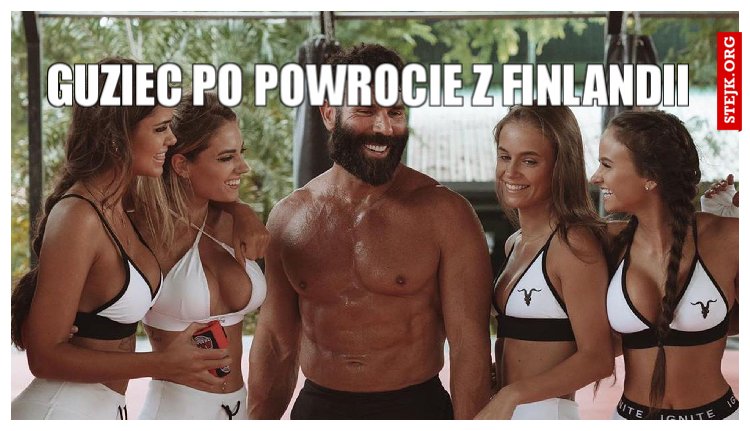 Guziec po powrocie z Finlandii 