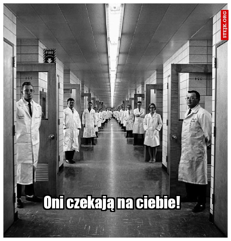 Oni czekają na ciebie!