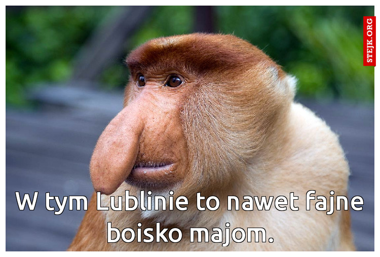 W tym Lublinie to nawet fajne boisko majom.
