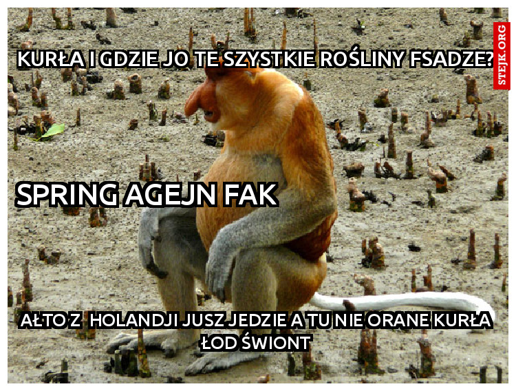 Kurła i gdzie jo te szystkie rośliny fsadze?