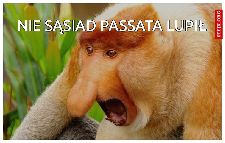 Nie Sąsiad Passata lupił