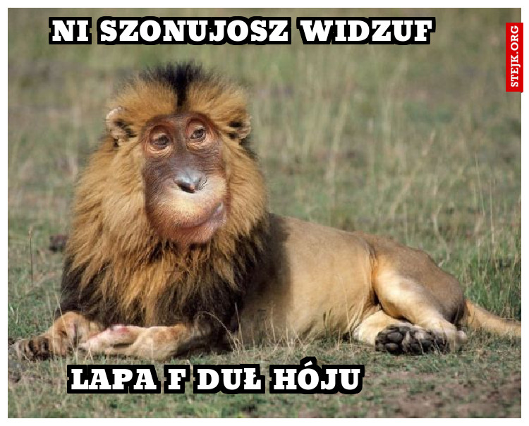 Ni szonujosz widzuf