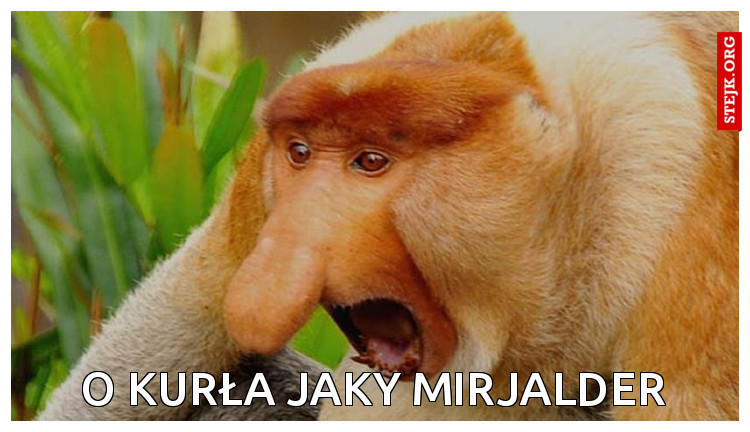 o kurła jaky mirjalder