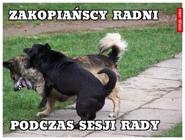 zakopiańscy radni