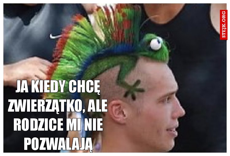 Ja kiedy chcę zwierzątko, ale rodzice mi nie pozwalają