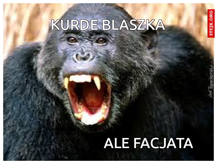 ale facjata