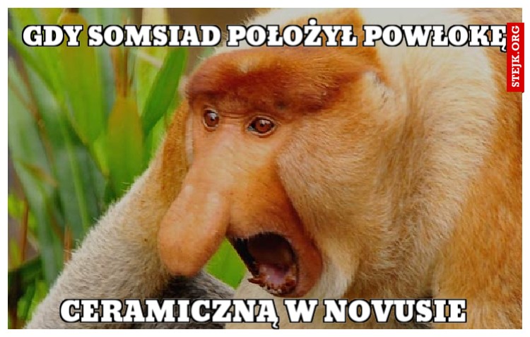 GDY SOMSIAD POŁOŻYŁ POWŁOKĘ
