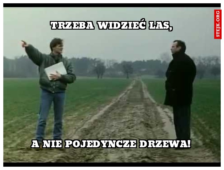 Trzeba widzieć LAS,