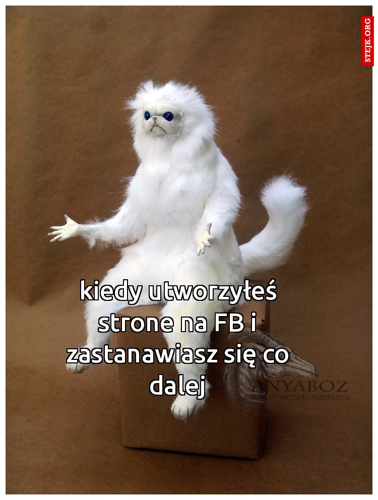 kiedy utworzyłeś strone na FB i zastanawiasz się co dalej