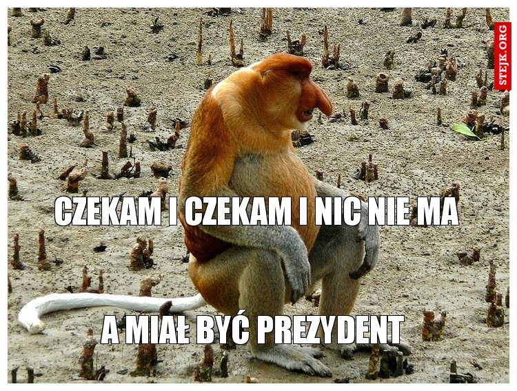 czekam i czekam i nic nie ma