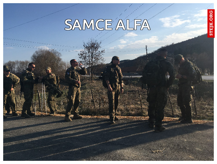 Samce Alfa