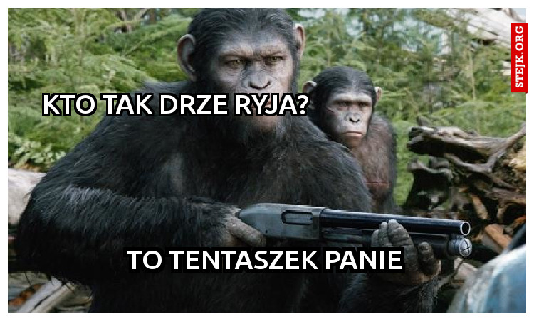 kto tak drze ryja?                            